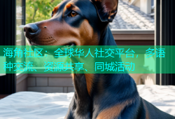 海角社区：全球华人社交平台，多语种交流、资源共享、同城活动