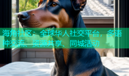 海角社区：全球华人社交平台，多语种交流、资源共享、同城活动