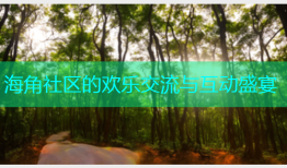 海角社区的欢乐交流与互动盛宴