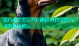 海角社区怎么不封揭秘 社区交流与资源共享首选