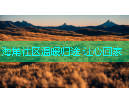 海角社区温暖归途 让心回家
