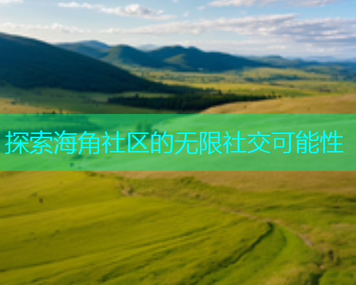 探索海角社区的无限社交可能性