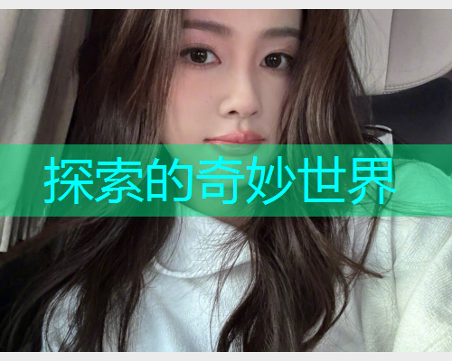 探索的奇妙世界