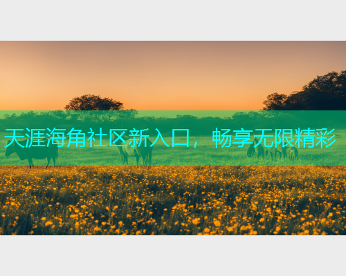 天涯海角社区新入口，畅享无限精彩