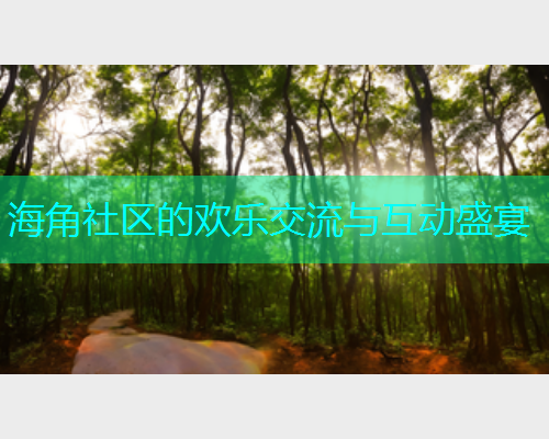 海角社区的欢乐交流与互动盛宴