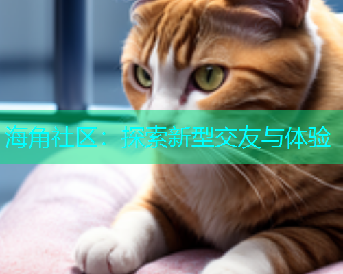 海角社区：探索新型交友与体验