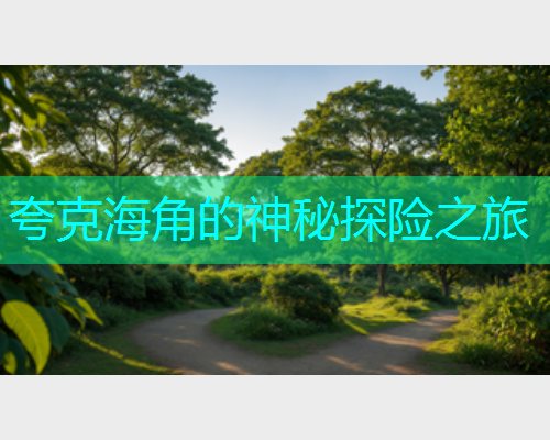 夸克海角的神秘探险之旅