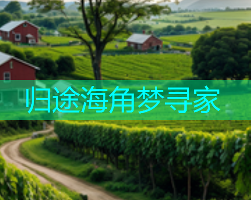归途海角梦寻家