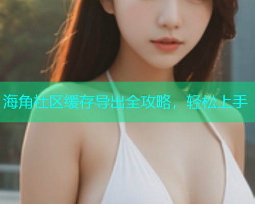 海角社区缓存导出全攻略，轻松上手