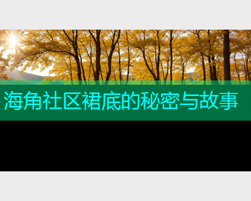海角社区裙底的秘密与故事