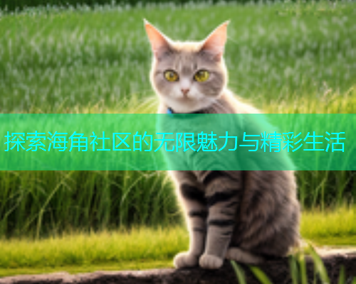 探索海角社区的无限魅力与精彩生活