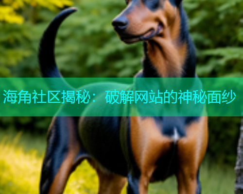 海角社区揭秘：破解网站的神秘面纱