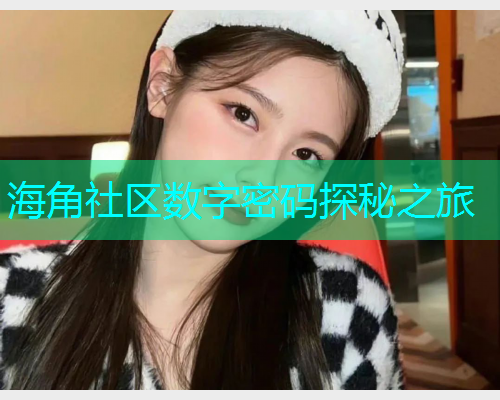 海角社区数字密码探秘之旅