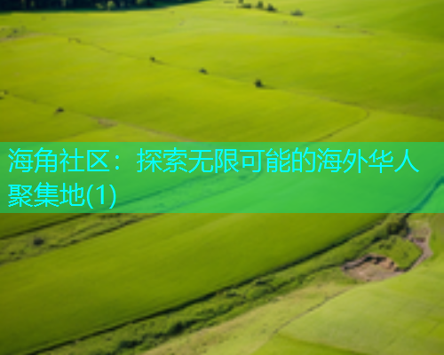 海角社区：探索无限可能的海外华人聚集地(1)