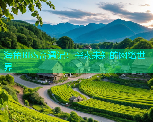 海角BBS奇遇记：探索未知的网络世界