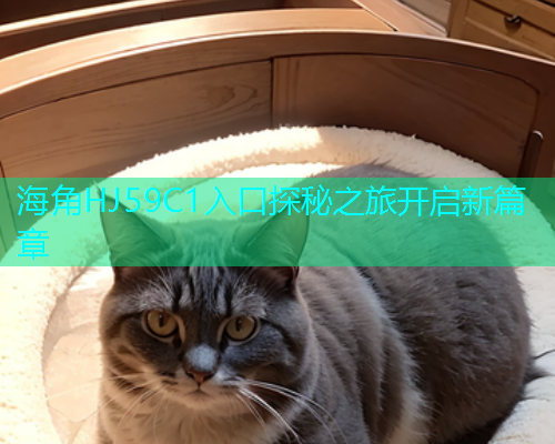 海角HJ59C1入口探秘之旅开启新篇章