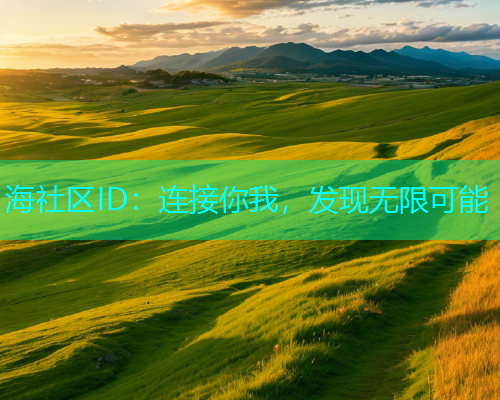 海社区ID：连接你我，发现无限可能