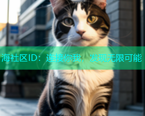 海社区ID：连接你我，发现无限可能
