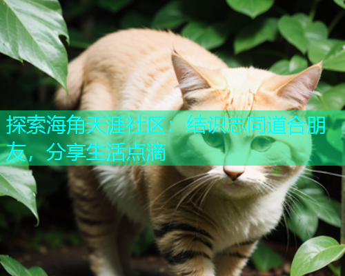 探索海角天涯社区：结识志同道合朋友，分享生活点滴