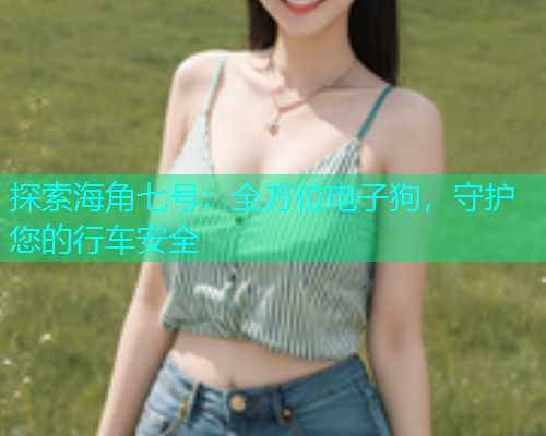 探索海角七号：全方位电子狗，守护您的行车安全