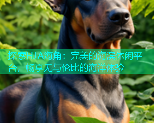 探索HJA海角：完美的海滨休闲平台，畅享无与伦比的海洋体验