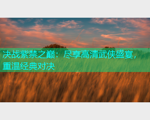 决战紫禁之巅：尽享高清武侠盛宴，重温经典对决