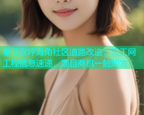 奉节安坪海角社区道路改造：天工网工程信息速递，项目商机一触即发