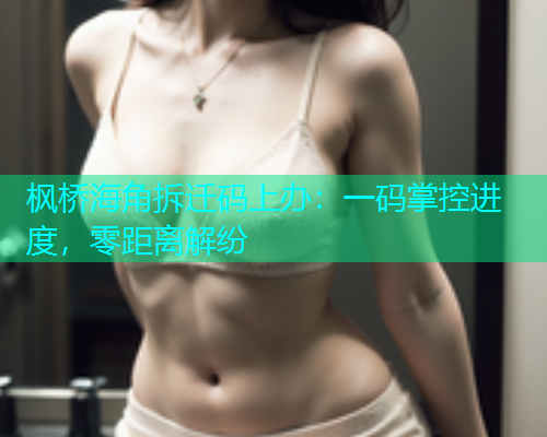 枫桥海角拆迁码上办：一码掌控进度，零距离解纷