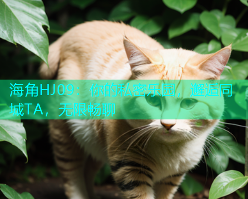 海角HJ09：你的私密乐园，邂逅同城TA，无限畅聊