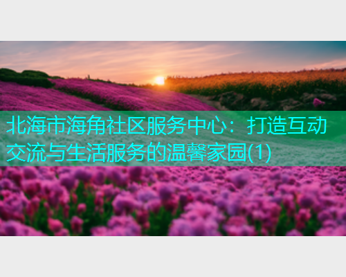 北海市海角社区服务中心：打造互动交流与生活服务的温馨家园(1)