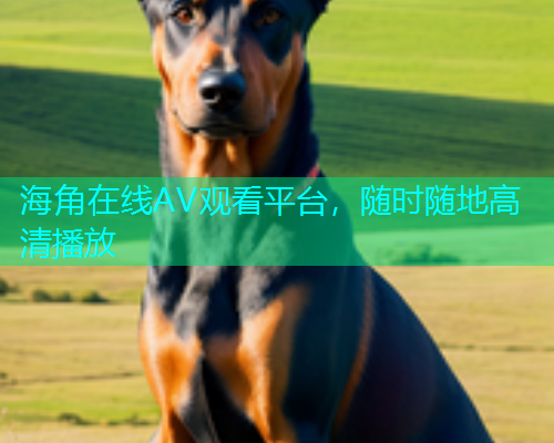 海角在线AV观看平台，随时随地高清播放