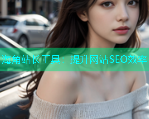 海角站长工具：提升网站SEO效率