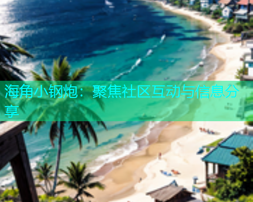 海角小钢炮：聚焦社区互动与信息分享
