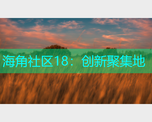 海角社区18：创新聚集地