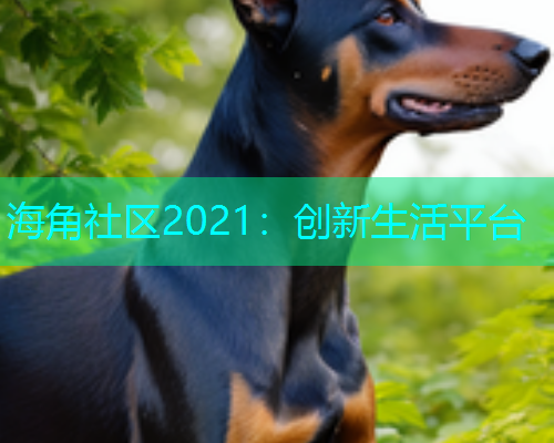 海角社区2021：创新生活平台