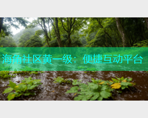 海角社区黄一级：便捷互动平台