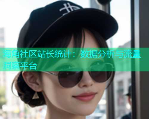 海角社区站长统计：数据分析与流量洞察平台