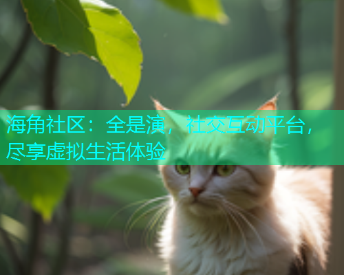海角社区：全是演，社交互动平台，尽享虚拟生活体验