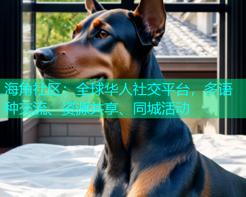 海角社区：全球华人社交平台，多语种交流、资源共享、同城活动