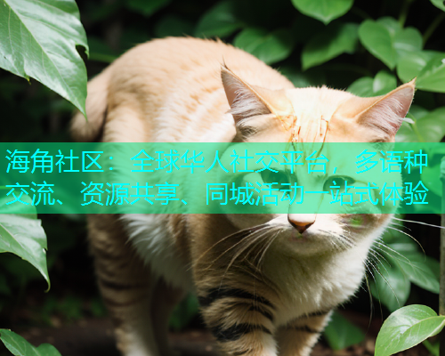 海角社区：全球华人社交平台，多语种交流、资源共享、同城活动一站式体验
