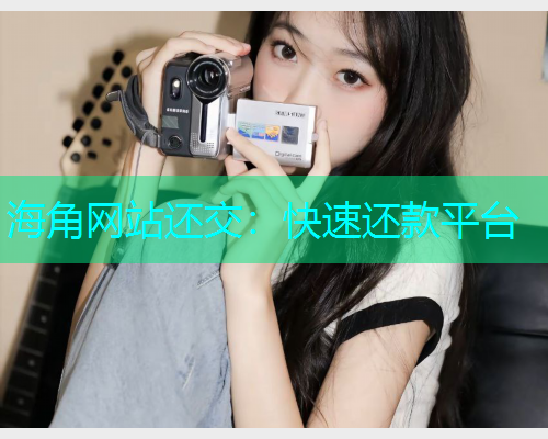 海角网站还交：快速还款平台