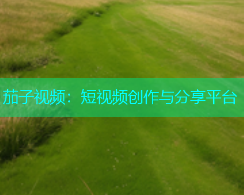 茄子视频：短视频创作与分享平台