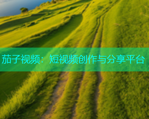 茄子视频：短视频创作与分享平台