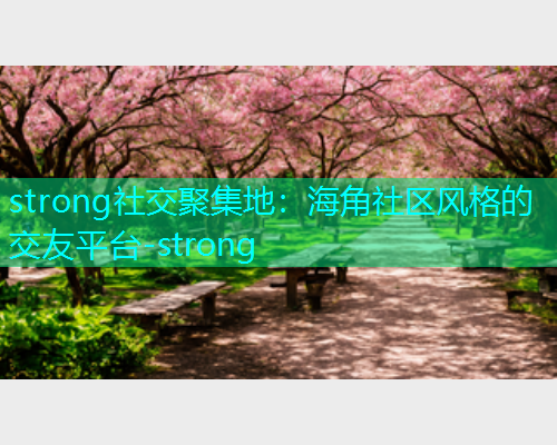 strong社交聚集地：海角社区风格的交友平台-strong