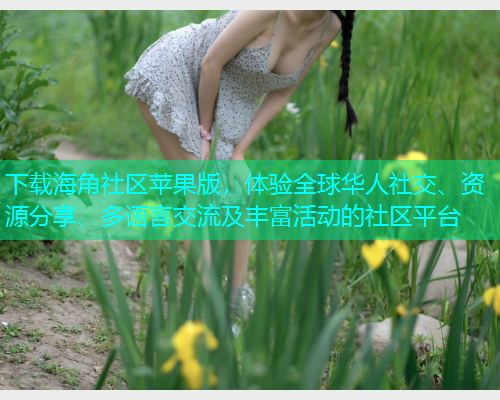下载海角社区苹果版，体验全球华人社交、资源分享、多语言交流及丰富活动的社区平台