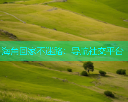 海角回家不迷路：导航社交平台