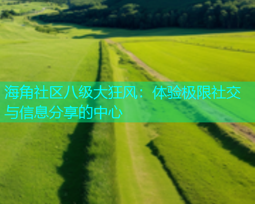 海角社区八级大狂风：体验极限社交与信息分享的中心