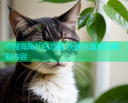 你搜海角社区攻略 快速充值解锁精彩内容