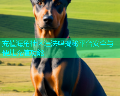 充值海角社区违法吗揭秘平台安全与便捷充值功能