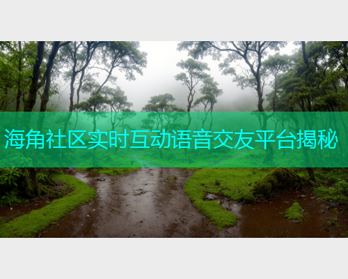 海角社区实时互动语音交友平台揭秘